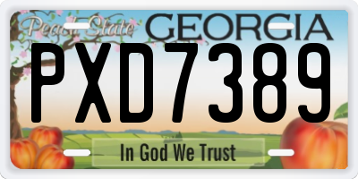 GA license plate PXD7389