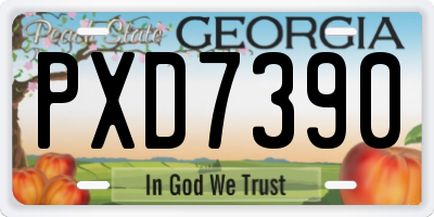 GA license plate PXD7390