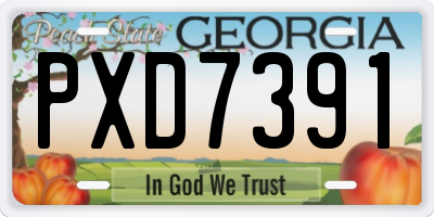 GA license plate PXD7391