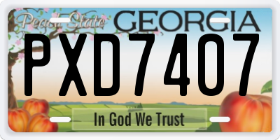 GA license plate PXD7407