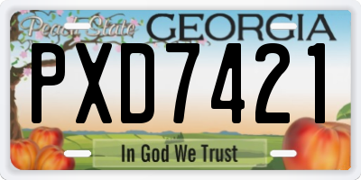 GA license plate PXD7421