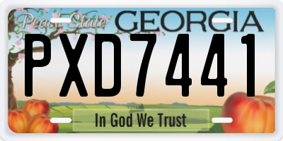 GA license plate PXD7441
