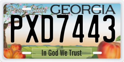 GA license plate PXD7443