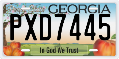 GA license plate PXD7445