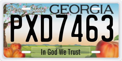 GA license plate PXD7463