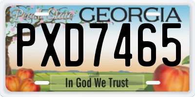 GA license plate PXD7465