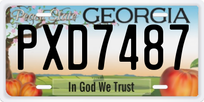 GA license plate PXD7487