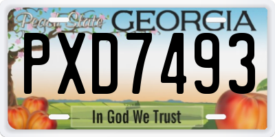 GA license plate PXD7493