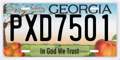 GA license plate PXD7501