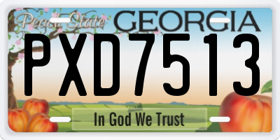 GA license plate PXD7513