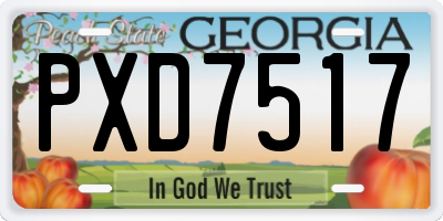 GA license plate PXD7517