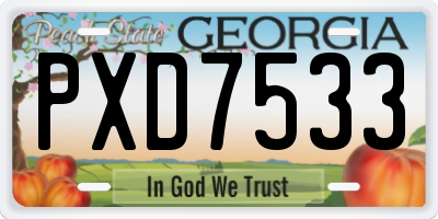 GA license plate PXD7533