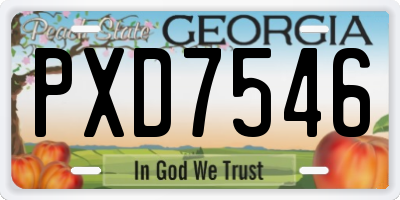 GA license plate PXD7546
