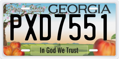 GA license plate PXD7551