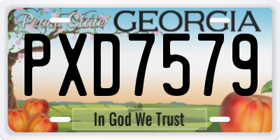 GA license plate PXD7579