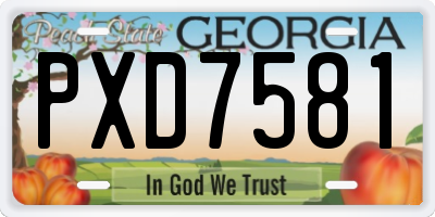 GA license plate PXD7581