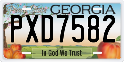 GA license plate PXD7582