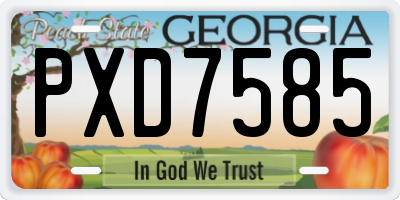 GA license plate PXD7585