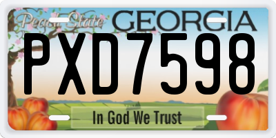 GA license plate PXD7598