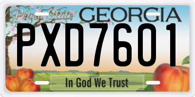 GA license plate PXD7601