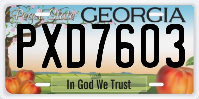 GA license plate PXD7603