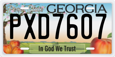 GA license plate PXD7607