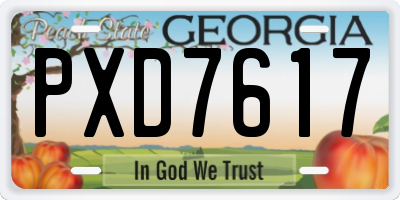 GA license plate PXD7617
