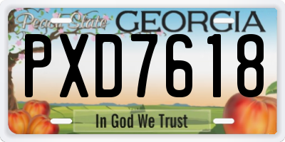 GA license plate PXD7618