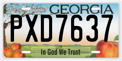 GA license plate PXD7637