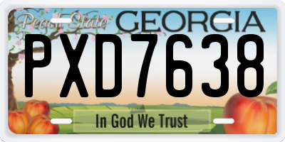 GA license plate PXD7638