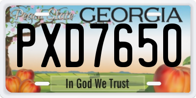 GA license plate PXD7650