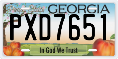 GA license plate PXD7651