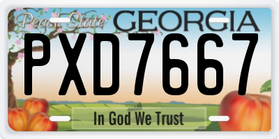 GA license plate PXD7667