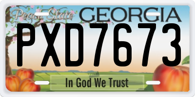 GA license plate PXD7673