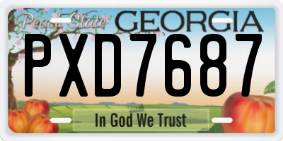 GA license plate PXD7687