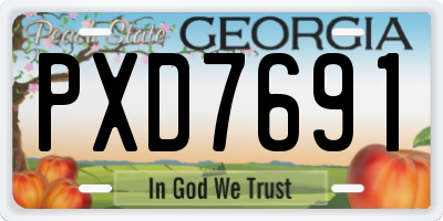 GA license plate PXD7691