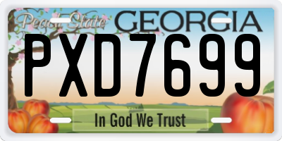 GA license plate PXD7699