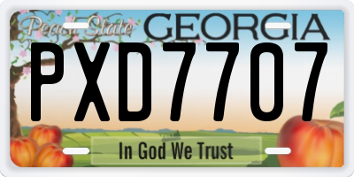 GA license plate PXD7707