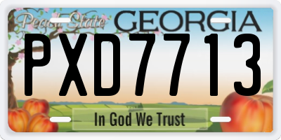 GA license plate PXD7713