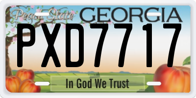 GA license plate PXD7717