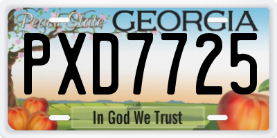 GA license plate PXD7725
