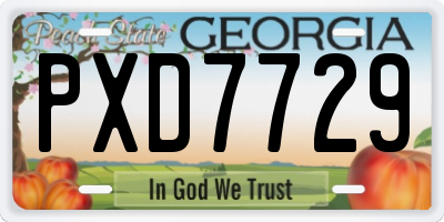 GA license plate PXD7729