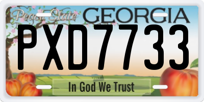GA license plate PXD7733
