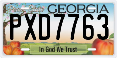 GA license plate PXD7763