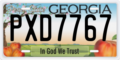 GA license plate PXD7767