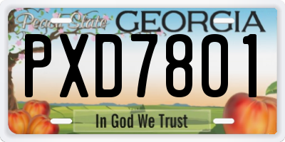 GA license plate PXD7801