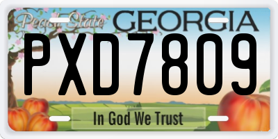 GA license plate PXD7809