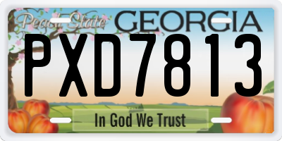 GA license plate PXD7813