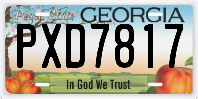 GA license plate PXD7817