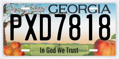 GA license plate PXD7818